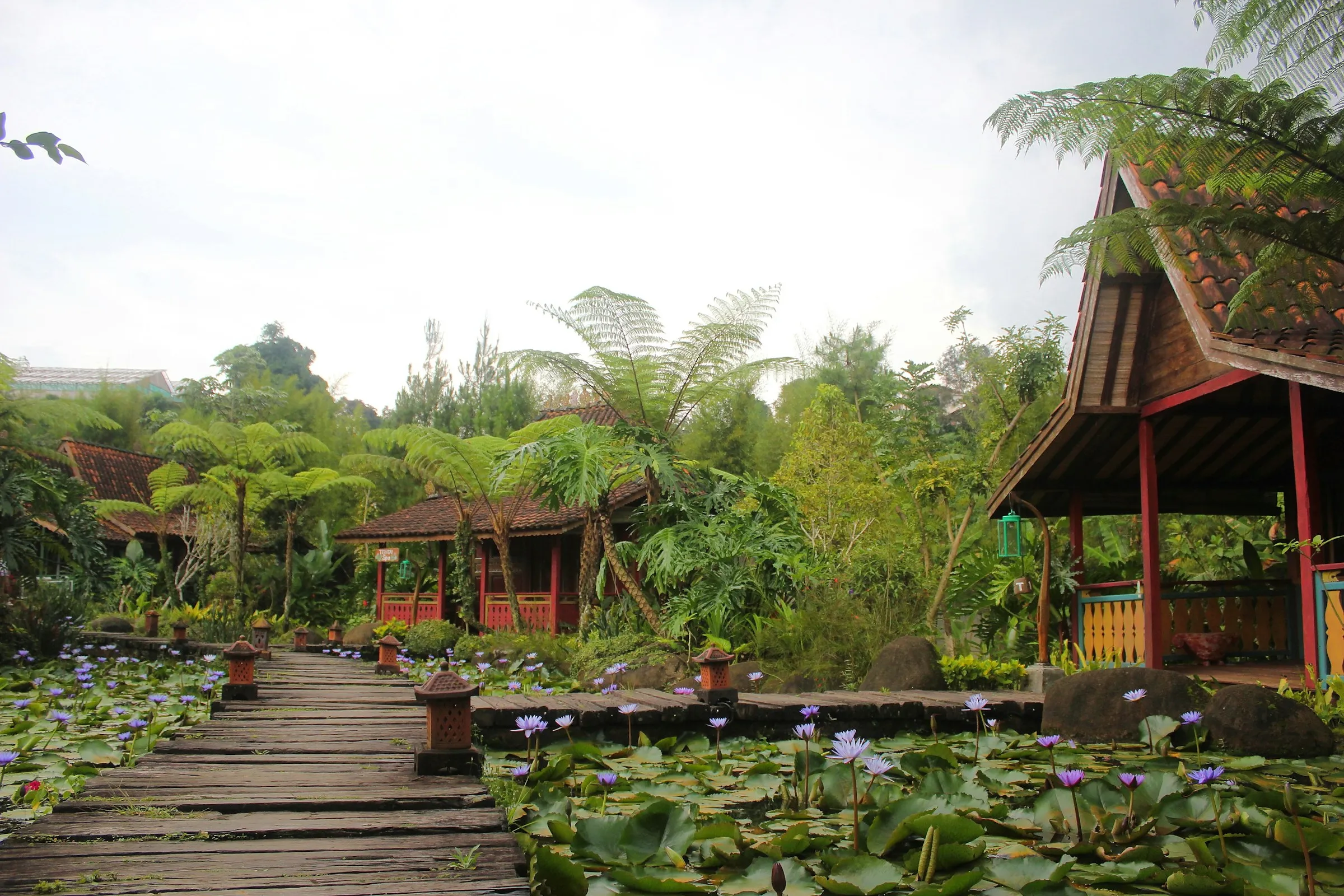 Rumah joglo Jawa dengan atap bertumpuk di tengah pepohonan tropis